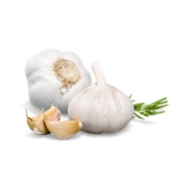 Fresh Garlic