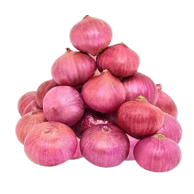 Onion