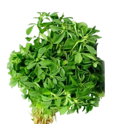 Fresh Methi