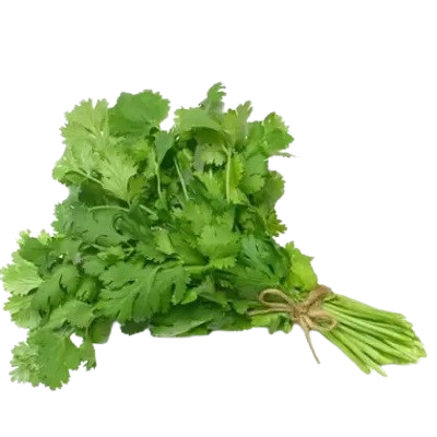 Green Coriander Leaves